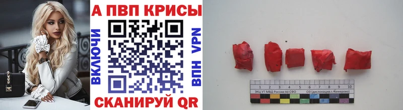 что такое   Буйнакск  А ПВП СК КРИС 
