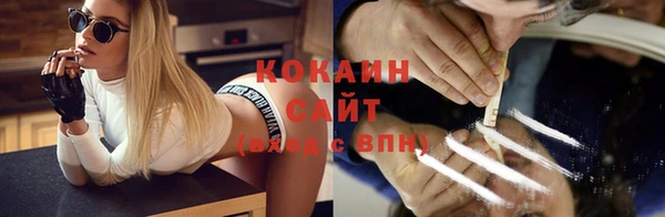 гидра Богданович