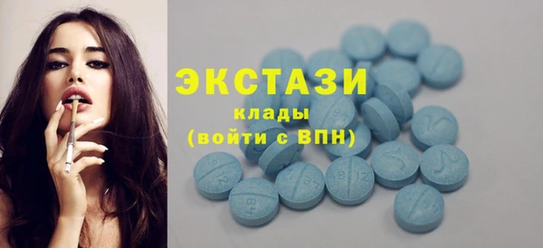 гидра Богданович