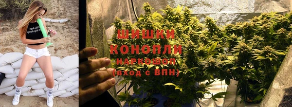 гидропоника Богородск