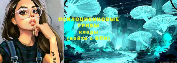 гидропоника Богородск