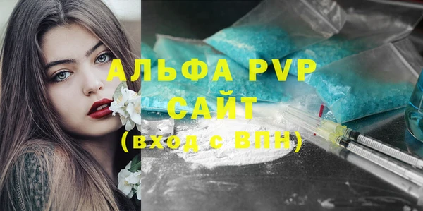 гидра Богданович