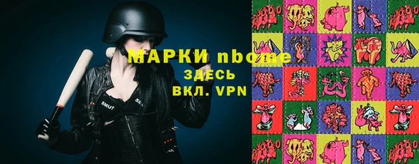 гидра Горнозаводск