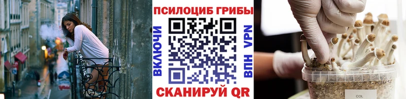 Галлюциногенные грибы Magic Shrooms  Буйнакск 