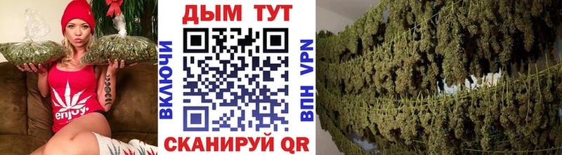 мориарти формула  где продают наркотики  Буйнакск  Каннабис сатива  omg tor 